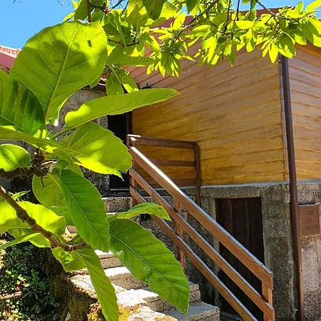 Casa Da Covinha - Branda Da Aveleira *