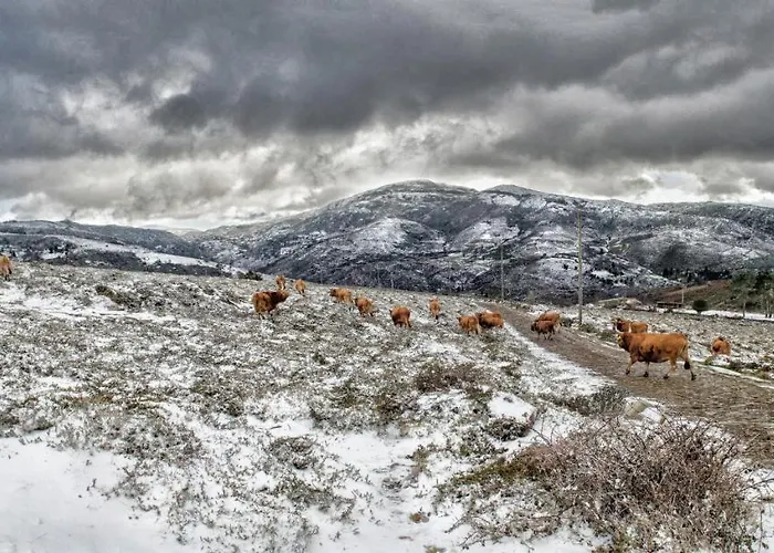 Nyaraló Casa Da Covinha - Branda Da Aveleira