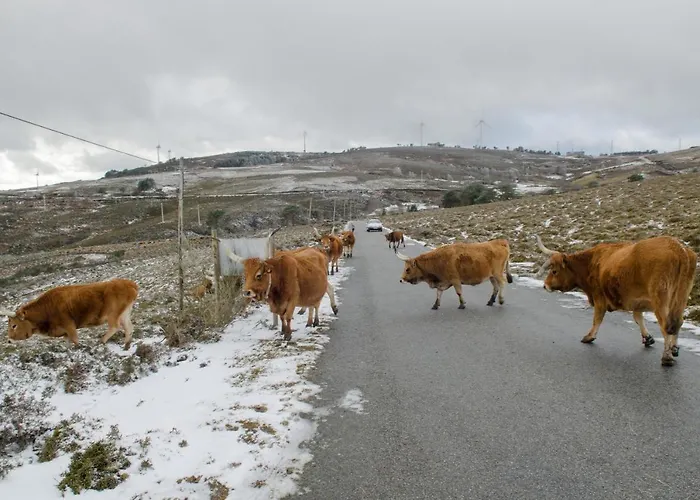 Casa Da Covinha - Branda Da Aveleira Tatil Evi *